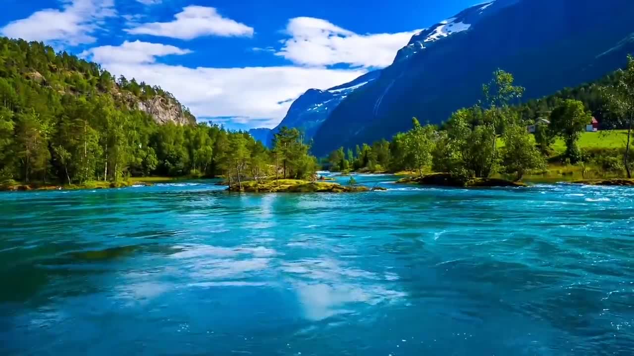 relaxing nature beauty/short video/nature experience/beautiful thing/