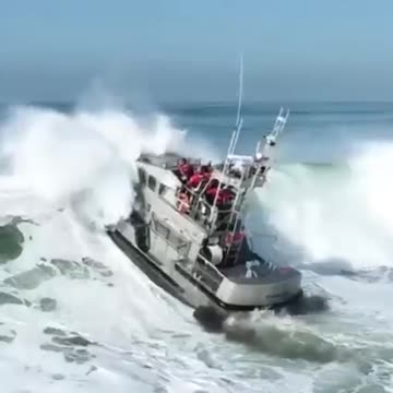 Nature Video Clips # - 09