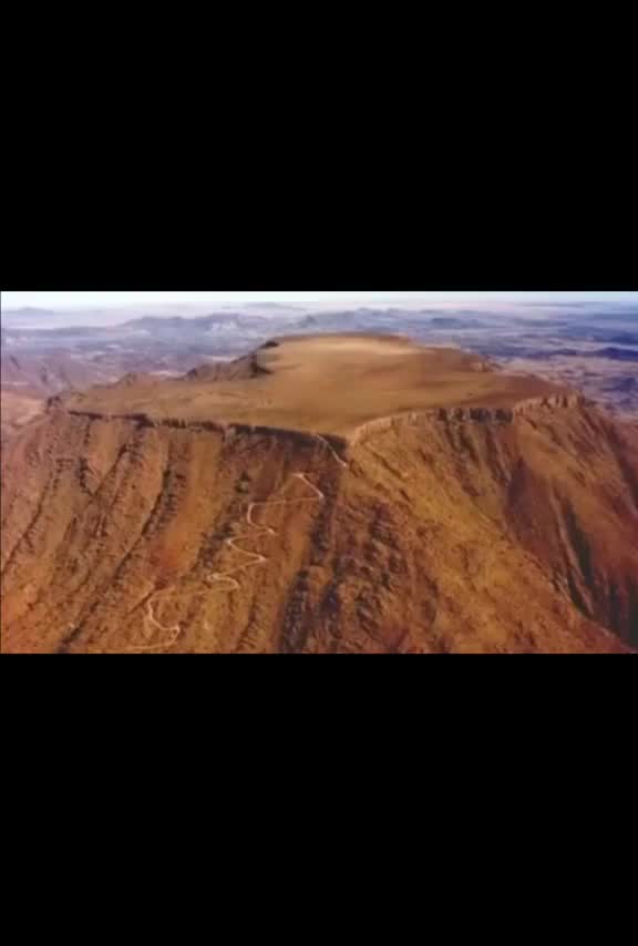 Grandi alberi del passato