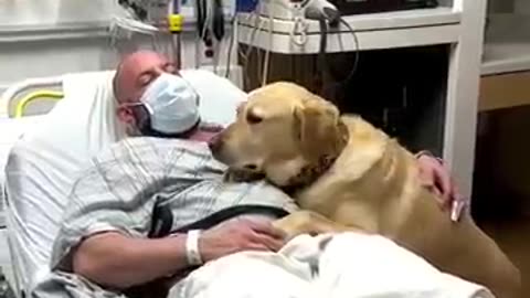 The dog stayed in the hospital