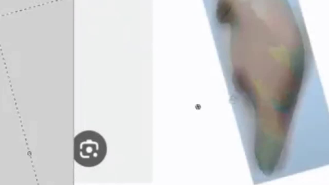 #cockatoo #helium #balloon filmed comparison from video to match
