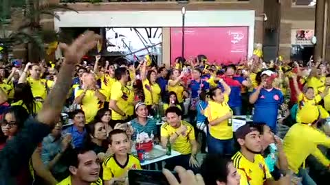 Así se celebró en Bucaramanga el triunfo de Colombia