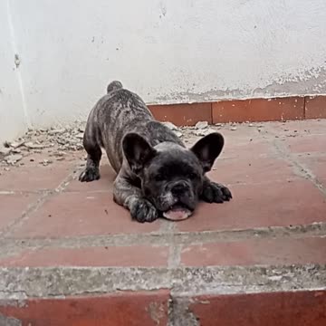 Buona domenica a tutti !