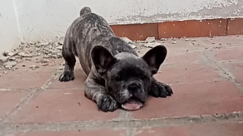 Buona domenica a tutti !