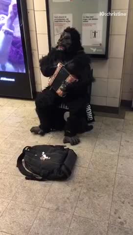 Guy in gorilla costume sits on a bucket and plays music near the subway