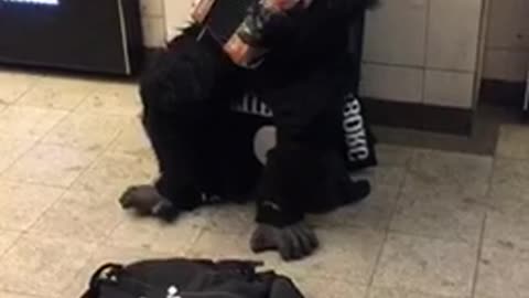 Guy in gorilla costume sits on a bucket and plays music near the subway