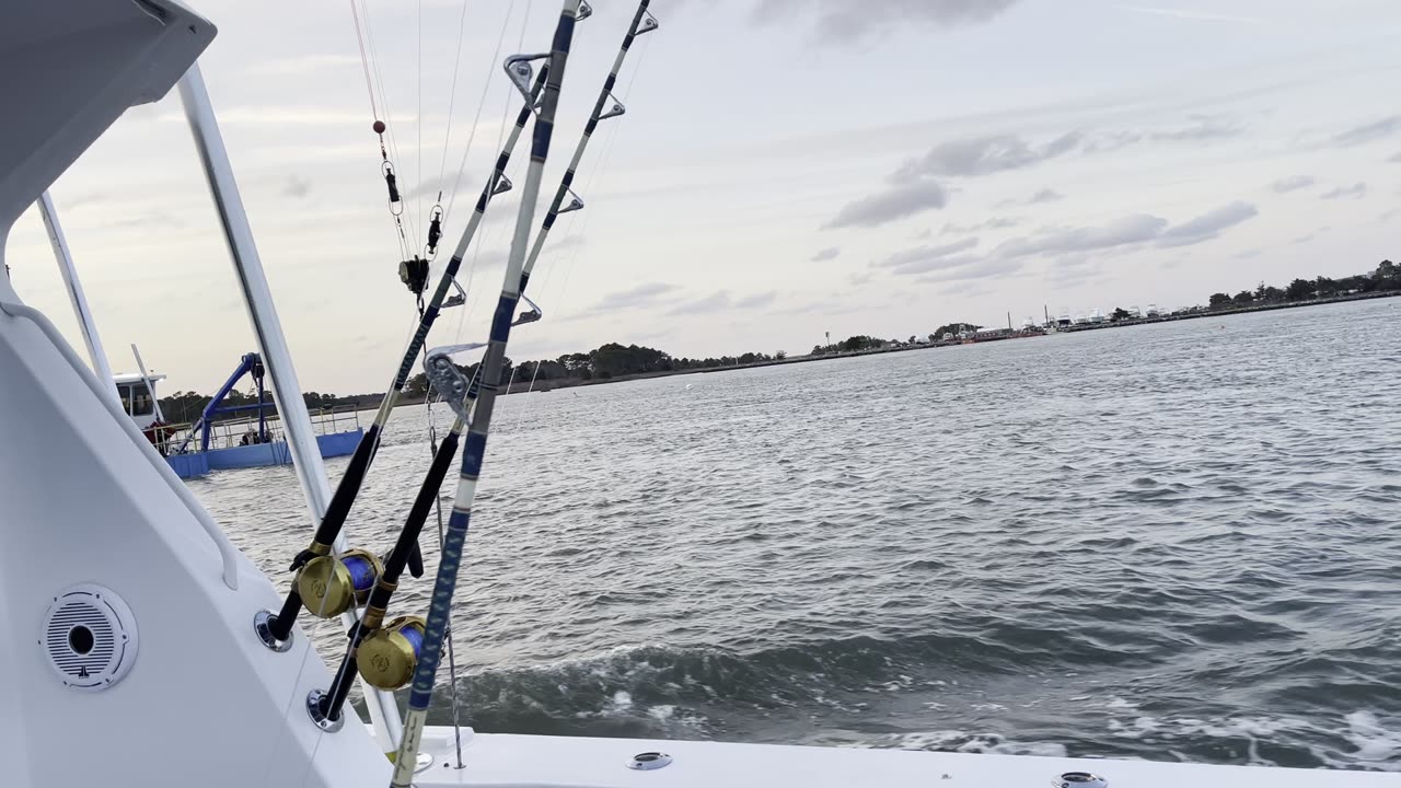 Viking 42 sport fish Blue Fin fishing inbound Indian River inlet Delaware