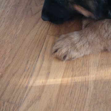 New Addition To The Family