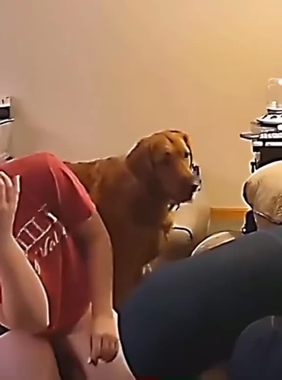 Funny moments with my pet dog #5