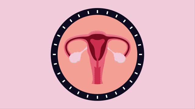 What Is The Menstrual Cycle? | Physiology | Biology | FuseSchool