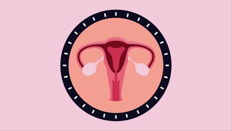 What Is The Menstrual Cycle? | Physiology | Biology | FuseSchool