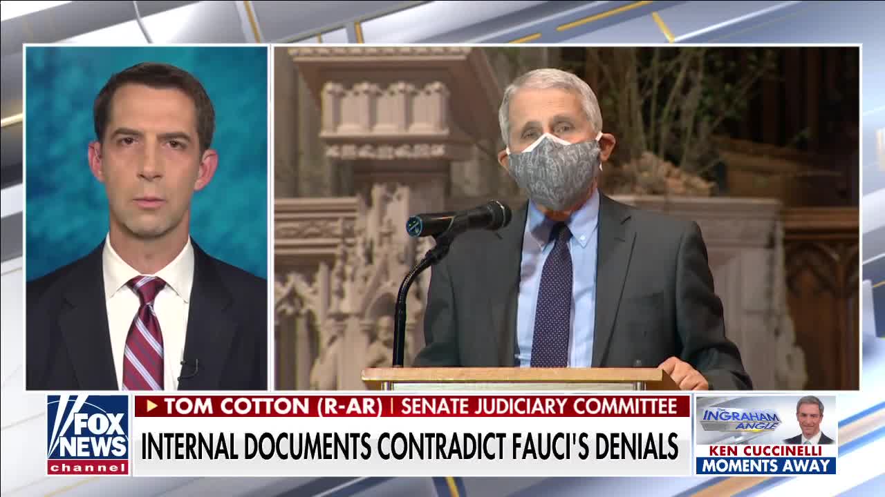 Sen. Tom Cotton: "I've said for months that Tony Fauci should be fired."