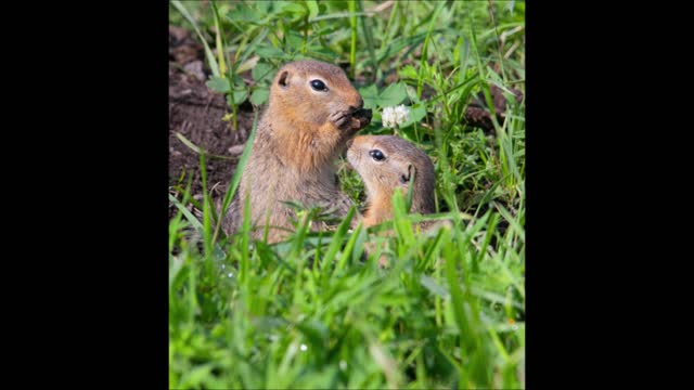 We Kill Pest Control Hollywood - (954) 271-0923