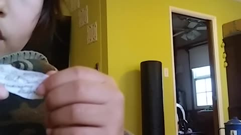 Secret notes in eggs