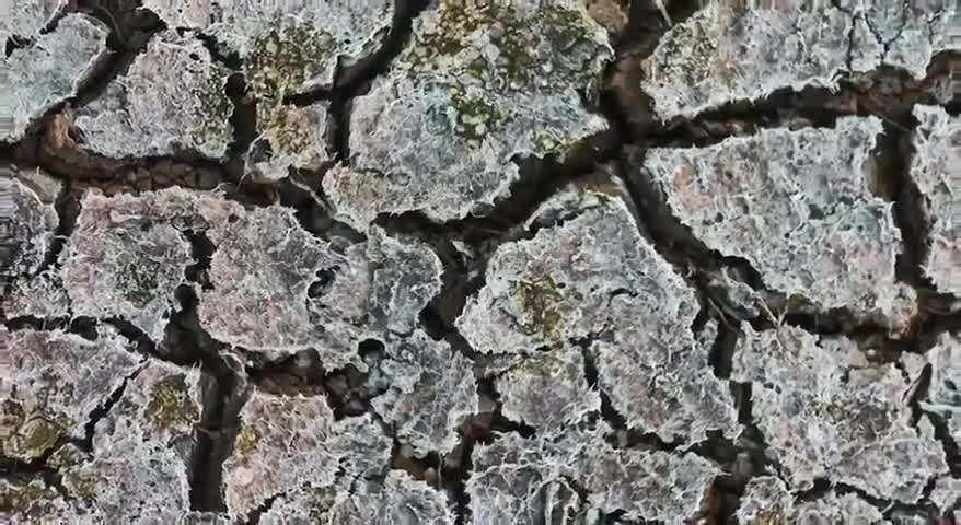 Wie unsere Politiker "gemacht" werden 🤔