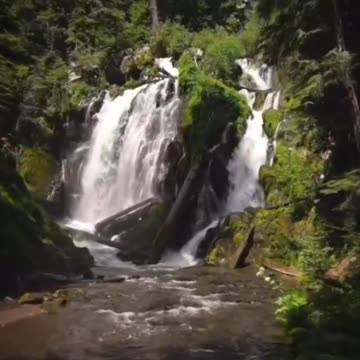 Fantastic world planet