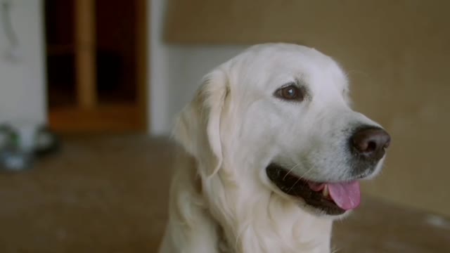 Adorable to watch that innocent face ❤️