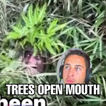 What REALLY happens on patrol...