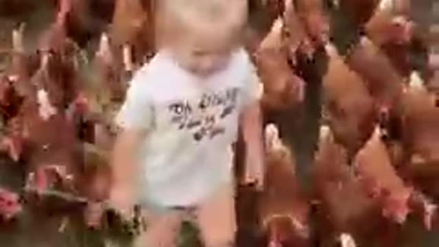 Just a toddler and her army of chickens 🐔😂 ViralHog