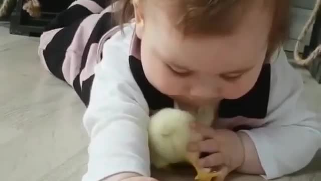 The kid who plays with the chick and cuddles him, how cute they are