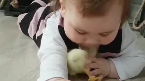 The kid who plays with the chick and cuddles him, how cute they are