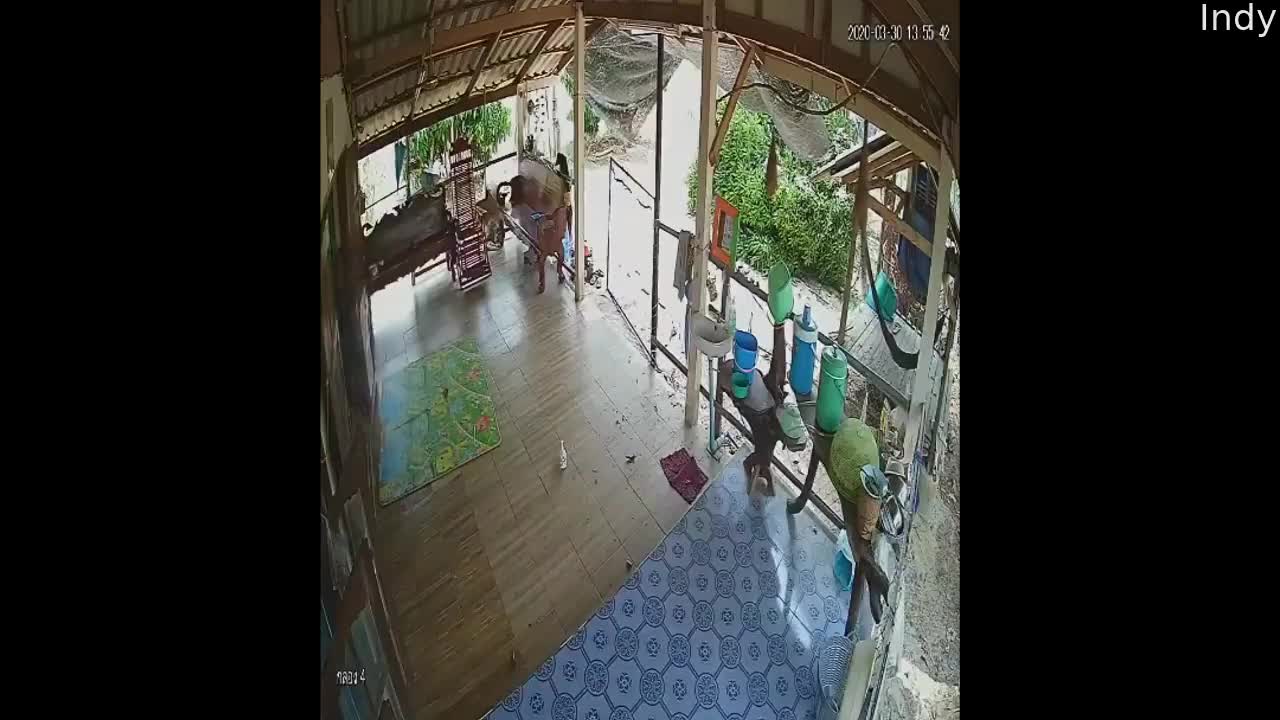 High Speed Car Rolls Into Tree Outside Home