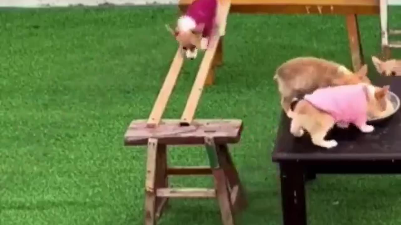 Can’t stop watching.. 😂