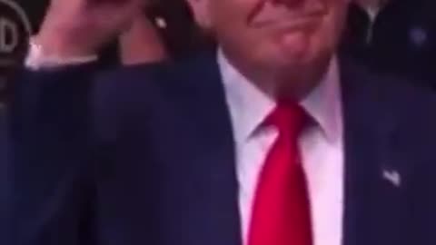 Real President Trump at UFC