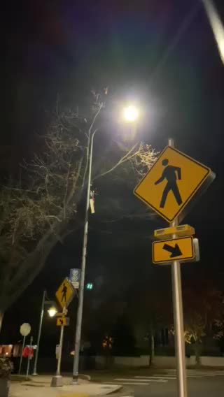 Toxic 5G street lamps