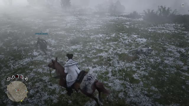 New Flying Feature In Red Dead 2 - Check It Out!