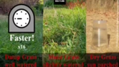 Experiment by a meteorologist shows the effects of droughts