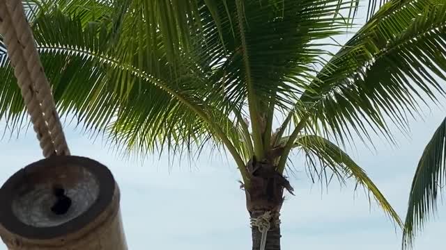 mann enjoying his day on hammock