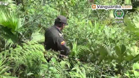aliaschencho.flv