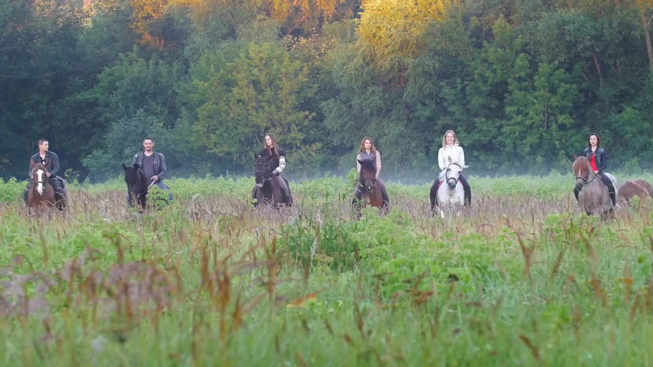 Company of friends on horseback riding in the early morning, fog