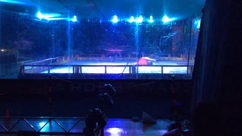 Robot Wars World Championships Colchester 2015: Thor Vs Nuts