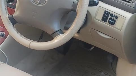 My car