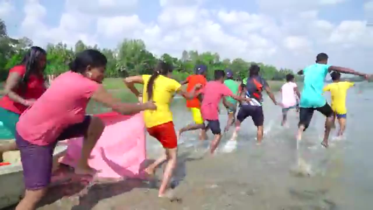 Funny videos