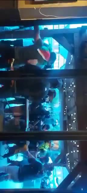 According to the Labour Party this is a peaceful group of Muslims