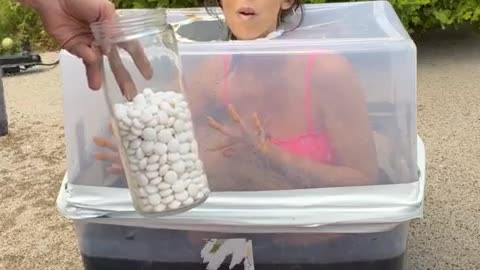 When they add the MENTOS