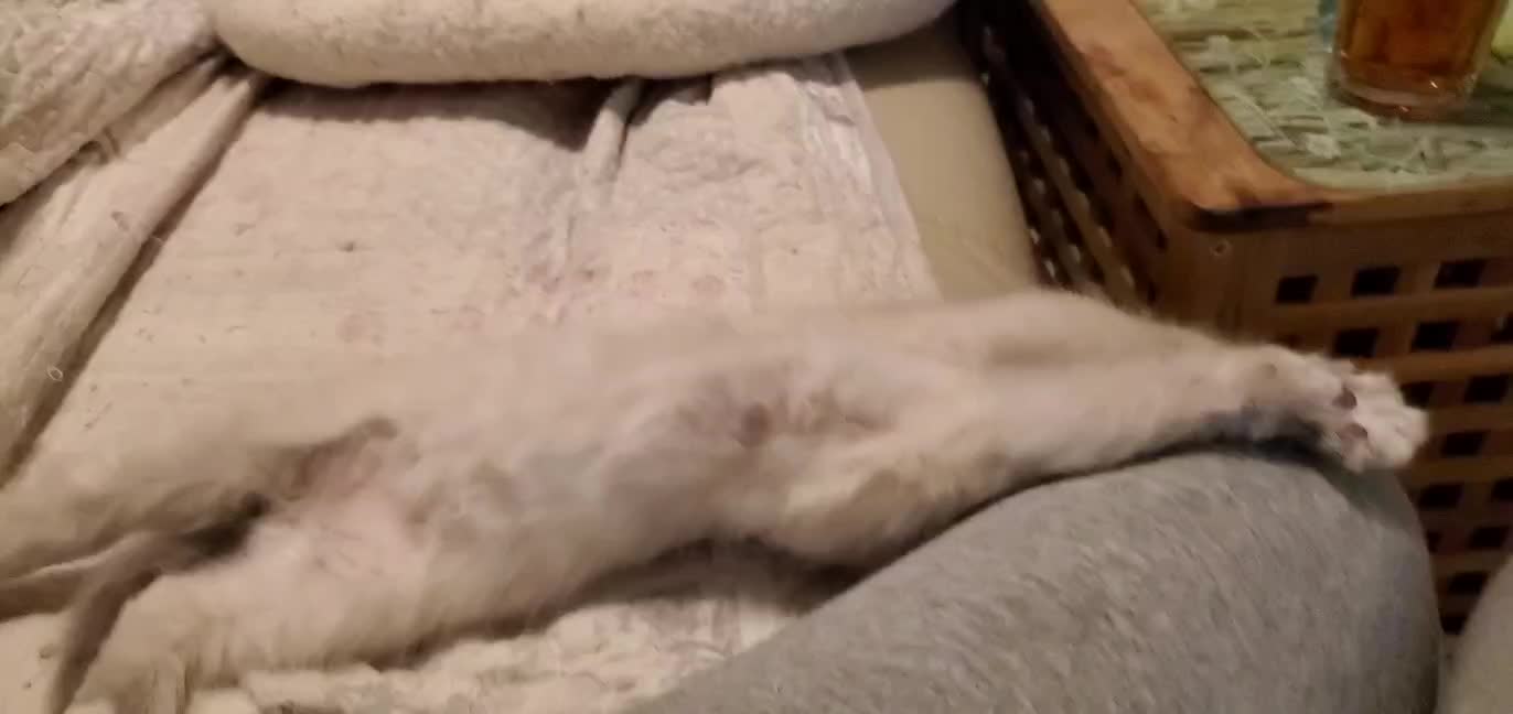 Deambarino Bardolino