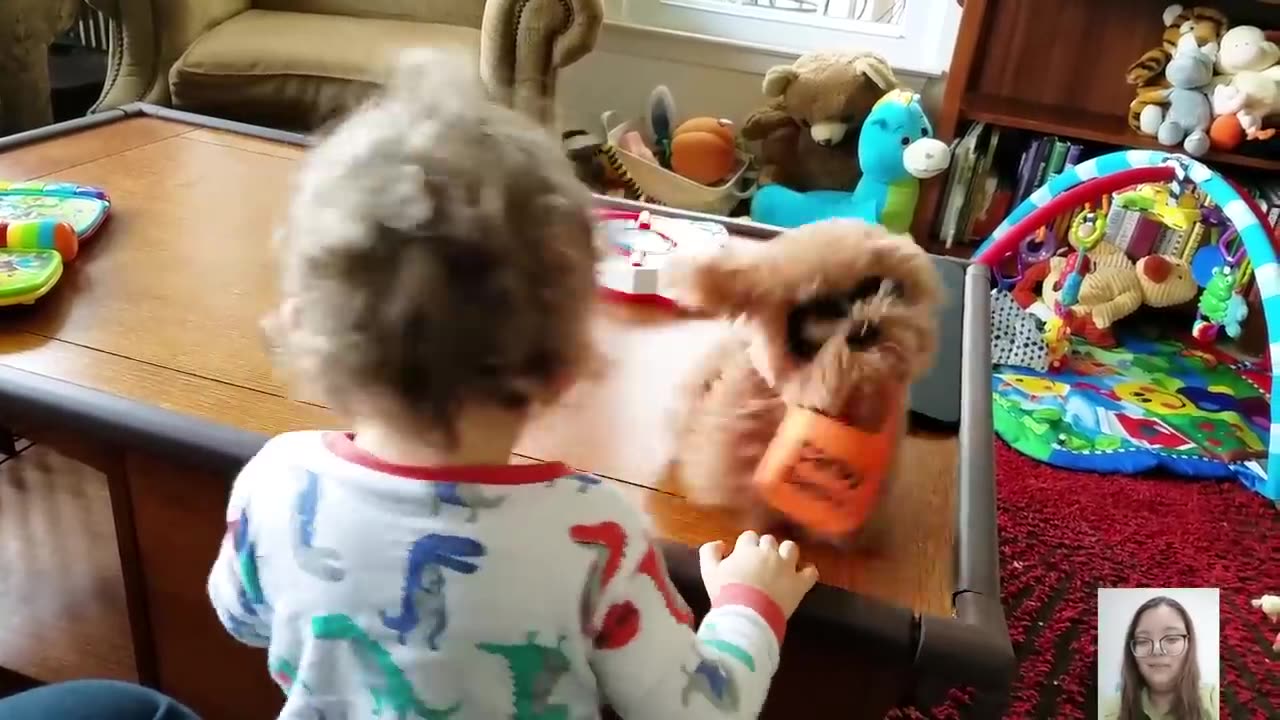 Funniest Babies And Animals Compilation __ Just Laugh