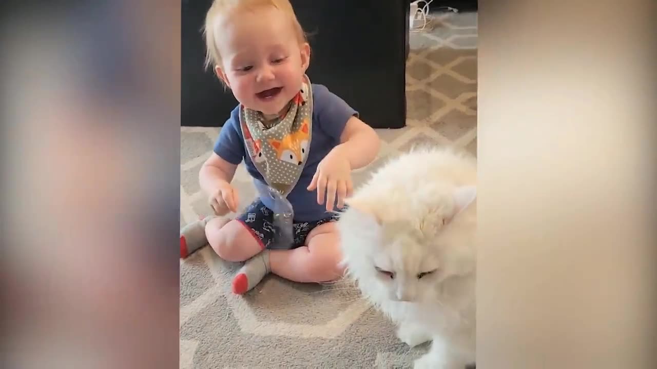 Cutest Babies Play With Dogs And Cats Compilation || Cool Peachy