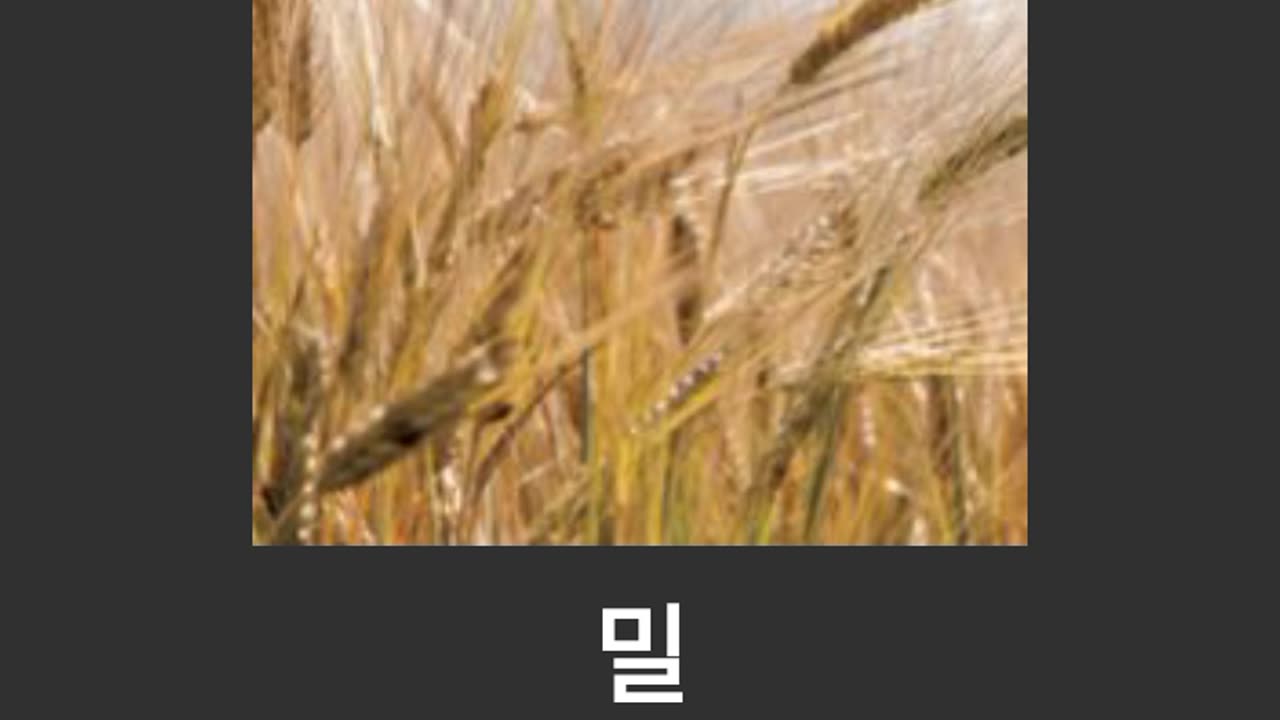 Korean meaning