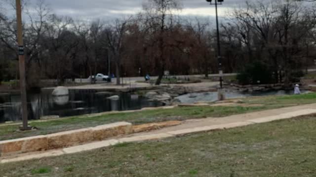 A run through the park