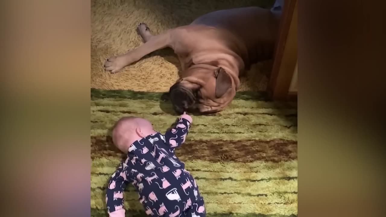 Funniest Baby Videos of the Week - Try Not To Laugh