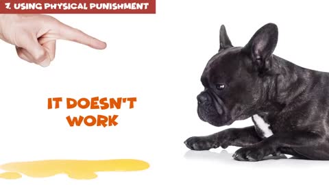 12 Harmful things dog owners do to their dogs without knowing.