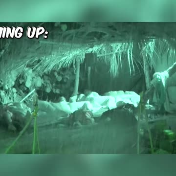 Surviving the Storm Building a Rain Proof Shelter in the Wilderness