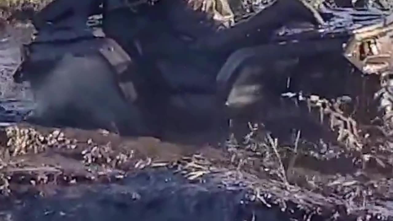 The end 😂😂😂 #fails #funny #funnyvideos #funnyfail #failvideo #viral #shorts #reels #humorexpose