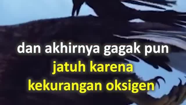 Quotes of the day - Merry Riana