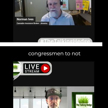 The Future of the Cannabis Industry